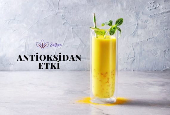 Antioksidan Etki